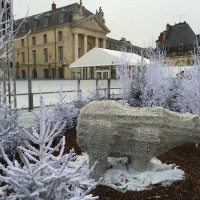 Patinoire de Dijon