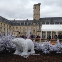 Patinoire de Dijon